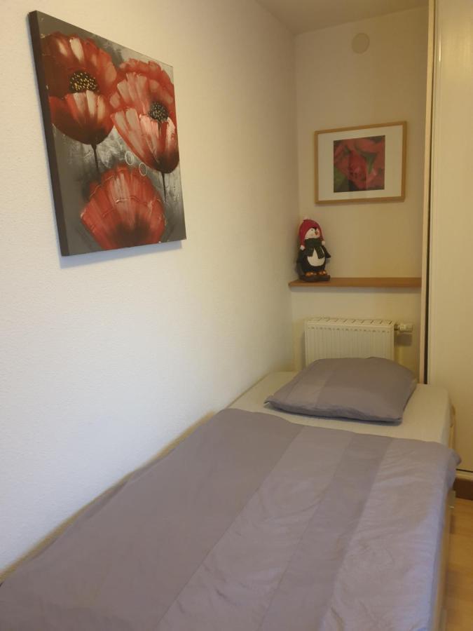 Appartement Proche D'Europa Park/Marches De Noel Rhinau Extérieur photo