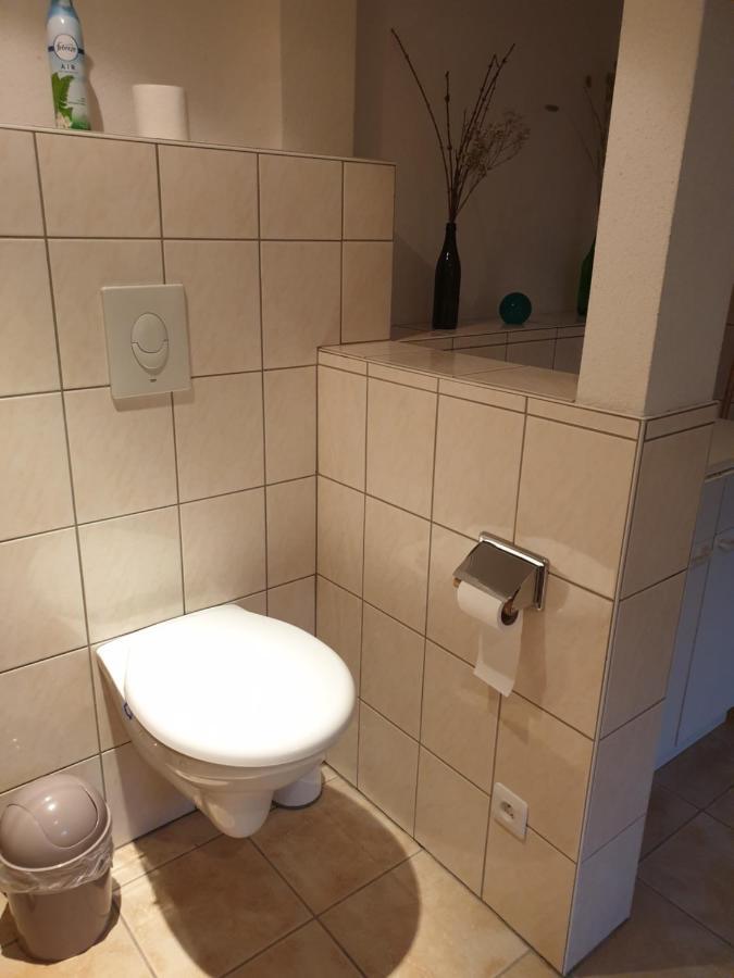 Appartement Proche D'Europa Park/Marches De Noel Rhinau Extérieur photo